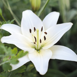 Similar image 735875