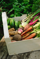 Similar image 735880