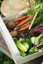 Similar image 735883