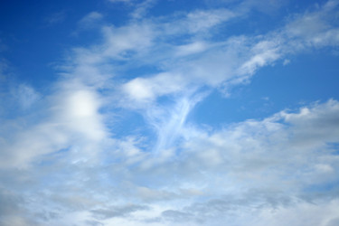 Similar image 735884