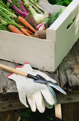 Similar image 735885