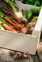 Similar image 735888