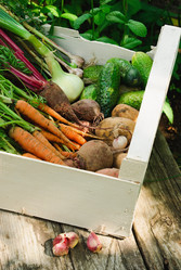 Similar image 735889