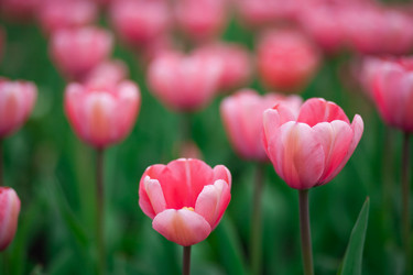 Similar image 735892