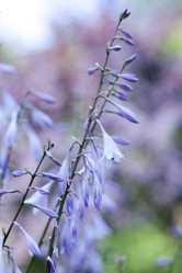 Similar image 735902