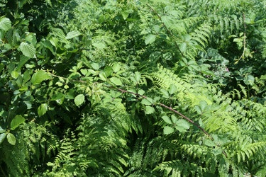 Similar image 735903