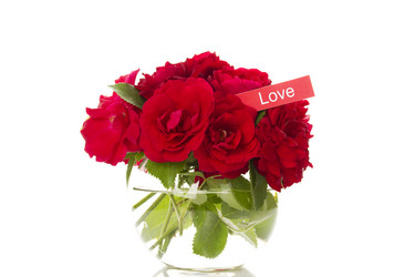 Similar image 735916