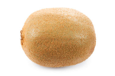 Similar image 735962