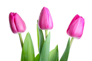 Similar image 735966