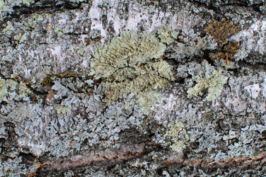 Similar image 735982