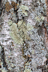 Similar image 735983