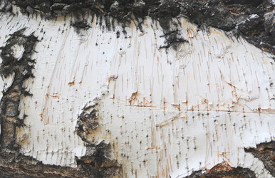 Similar image 735984