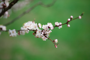 Similar image 735987