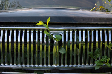 Similar image 736072