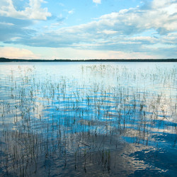 Similar image 736077