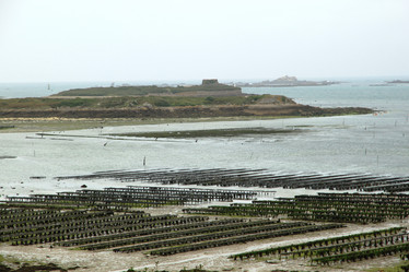 Similar image 736078