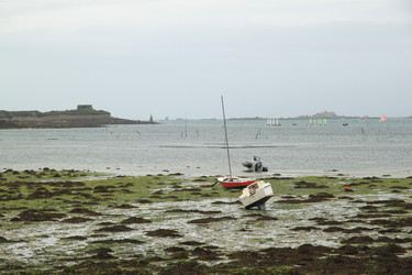 Similar image 736080