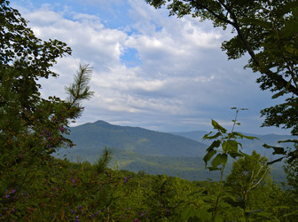 Similar image 736151