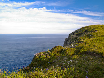 Similar image 736170