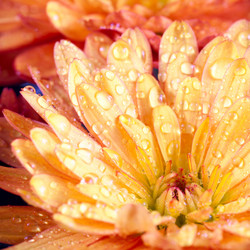 Similar image 736171