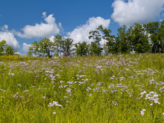 Similar image 736177