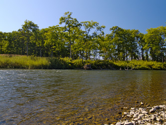 Similar image 736178