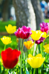 Similar image 736230