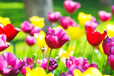 Similar image 736231