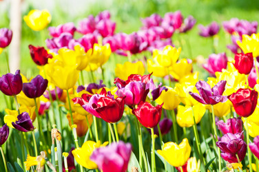 Similar image 736236