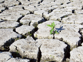 Similar image 736238