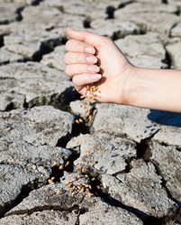 Similar image 736242