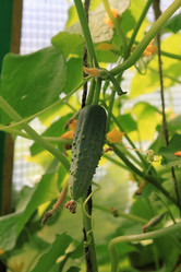 Similar image 736247