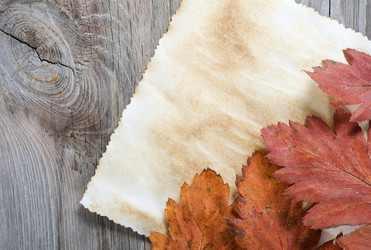 Similar image 736254