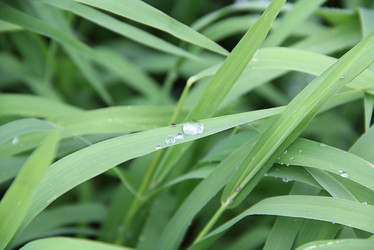 Similar image 736265