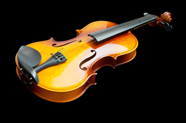 Similar image 736302