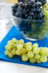 Similar image 736309