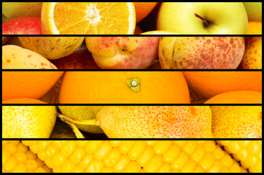 Similar image 736316