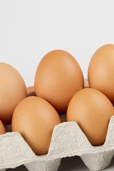 Similar image 736381