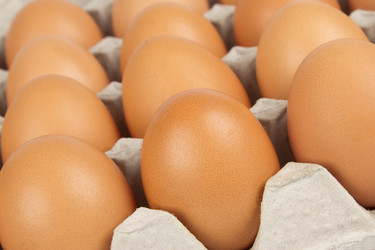 Similar image 736388