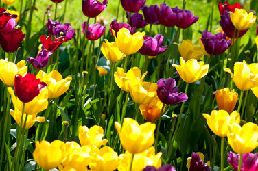 Similar image 736430