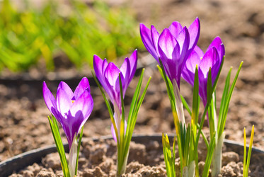 Similar image 736442