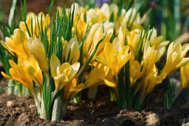 Similar image 736443