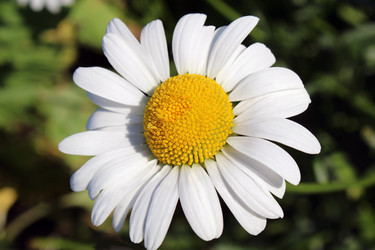 Similar image 736508