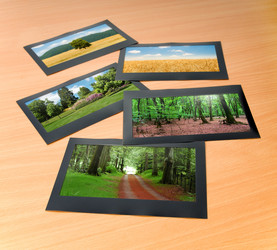 Similar image 736516