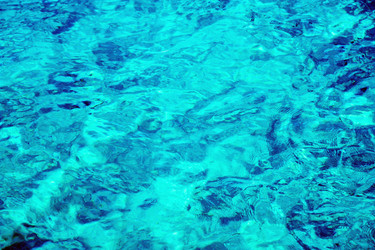 Similar image 736531