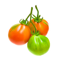 Similar image 736543