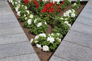 Similar image 736563