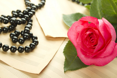 Similar image 736575