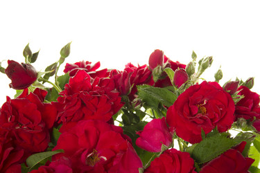 Similar image 736632