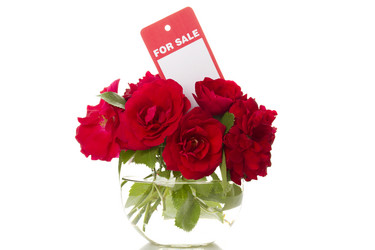 Similar image 736663